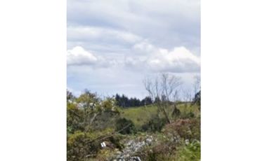 Lote industrial en venta En Guarne, Antioquia.