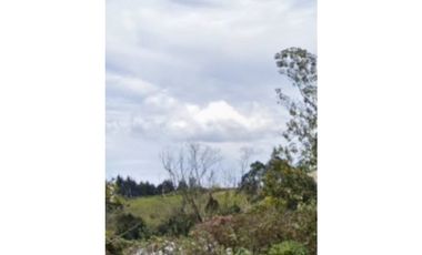 Lote industrial en venta En Guarne, Antioquia.