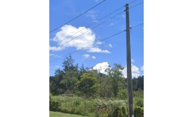 Lote industrial en venta En Guarne, Antioquia.