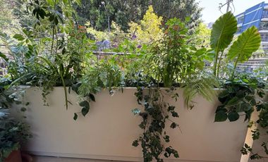 PH en venta en Hipódromo Condesa, Cuauhtémoc