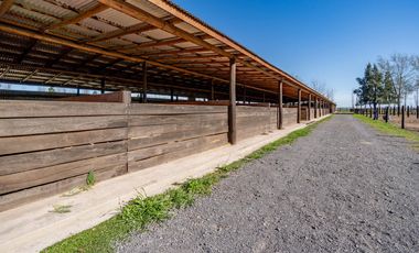 VENTA – Terrenos desde 1000m2 - Amenities - Estancia La Rinconada, Ibarlucea