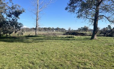 Terrenos de 360 m2 a la venta en Cañuelas