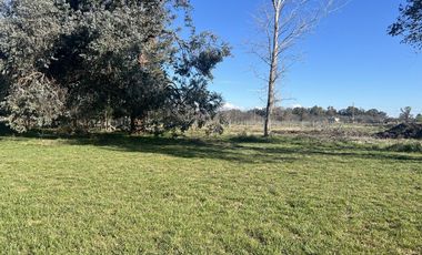 Terrenos de 360 m2 a la venta en Cañuelas