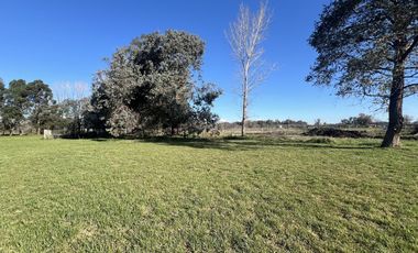 Terrenos de 360 m2 a la venta en Cañuelas