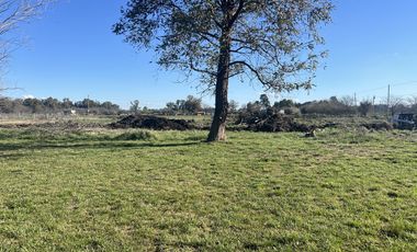 Terrenos de 360 m2 a la venta en Cañuelas