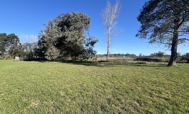 Terrenos de 360 m2 a la venta en Cañuelas