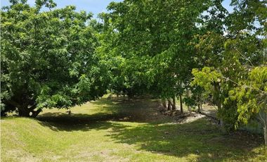 COSTA ESMERALDA / 2405M / FRENTE A VIA PRINCIPAL / CERCA DE PLAYA AG