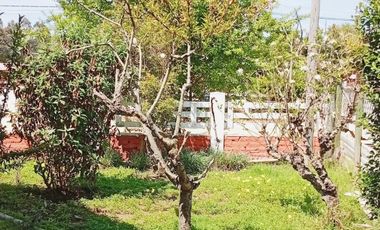 MUNICIPALIDAD DEL TABO