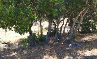 Parcela en venta en SANTA CRUZ