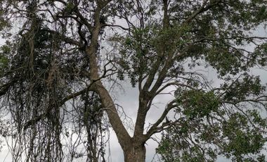 Parcela en venta en SANTA CRUZ