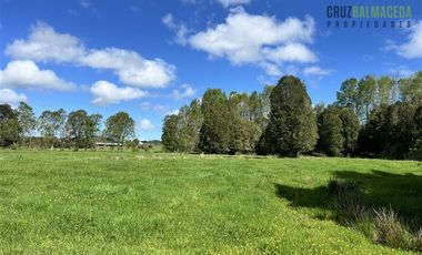 Agrícola en Venta en Cercano a Cañitas