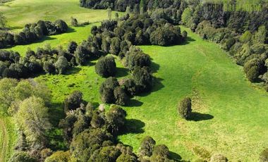 Agrícola en Venta en Cercano a Cañitas