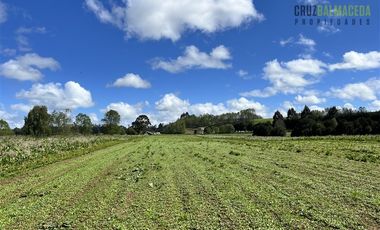 Agrícola en Venta en Cercano a Cañitas