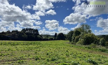 Agrícola en Venta en Cercano a Cañitas