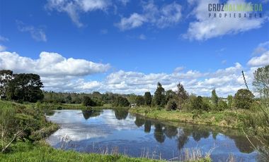 Agrícola en Venta en Cercano a Cañitas