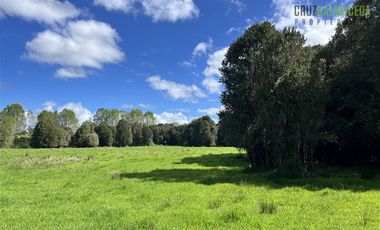 Agrícola en Venta en Cercano a Cañitas