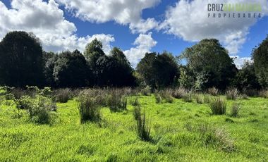 Agrícola en Venta en Cercano a Cañitas