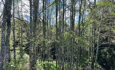 Agrícola en Venta en Cercano a Cañitas