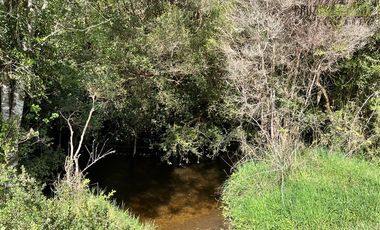 Agrícola en Venta en Cercano a Cañitas