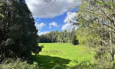 Agrícola en Venta en Cercano a Cañitas
