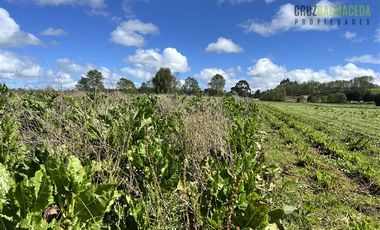 Agrícola en Venta en Cercano a Cañitas