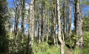 Agrícola en Venta en Cercano a Cañitas