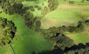 Agrícola en Venta en Cercano a Cañitas