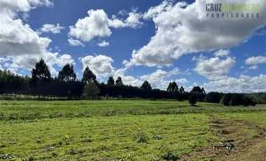Agrícola en Venta en Cercano a Cañitas