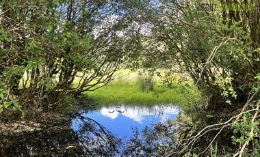 Agrícola en Venta en Cercano a Cañitas