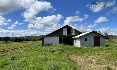 Agrícola en Venta en Cercano a Cañitas
