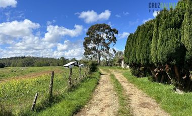 Agrícola en Venta en Cercano a Cañitas