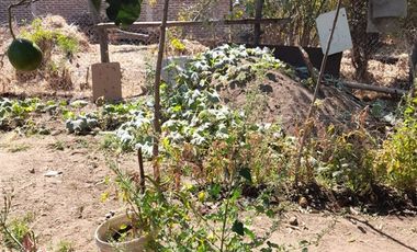 Casa en Venta en Carlos Brull