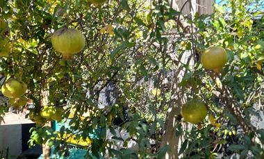 Casa en Venta en Carlos Brull