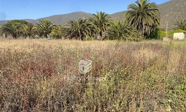 Sitio en Venta en Camino San Ramón con Callejón Las Parcelas