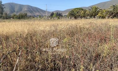 Sitio en Venta en Camino San Ramón con Callejón Las Parcelas