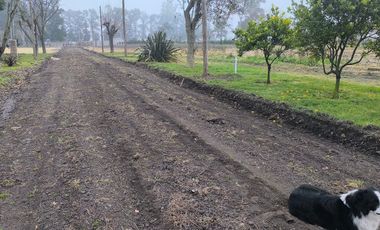Terreno en Barrio Santa Rosa