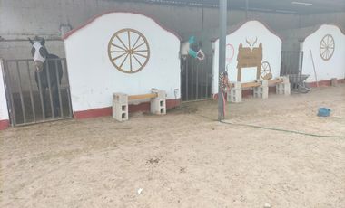 RANCHO CON NOGALES EN VENTA EN COYOTE, MATAMOROS, COAH.