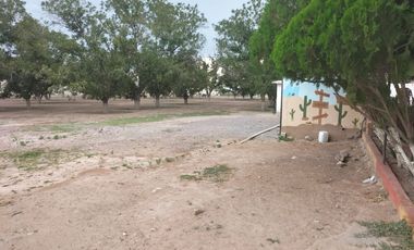 RANCHO CON NOGALES EN VENTA EN COYOTE, MATAMOROS, COAH.