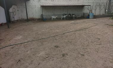 RANCHO CON NOGALES EN VENTA EN COYOTE, MATAMOROS, COAH.