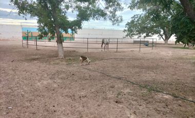 RANCHO CON NOGALES EN VENTA EN COYOTE, MATAMOROS, COAH.