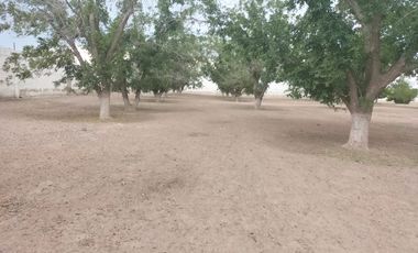 RANCHO CON NOGALES EN VENTA EN COYOTE, MATAMOROS, COAH.