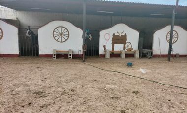 RANCHO CON NOGALES EN VENTA EN COYOTE, MATAMOROS, COAH.