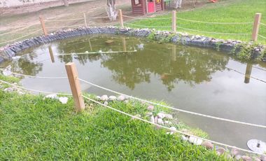 RANCHO CON NOGALES EN VENTA EN COYOTE, MATAMOROS, COAH.