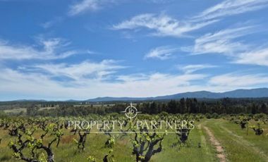 Gran campo productivo