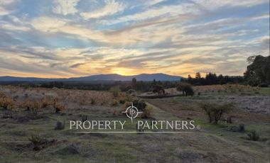 Gran campo productivo