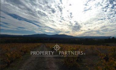 Gran campo productivo