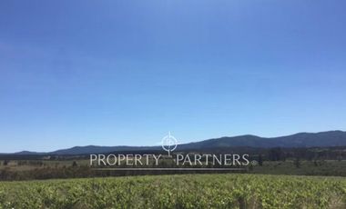 Gran campo productivo