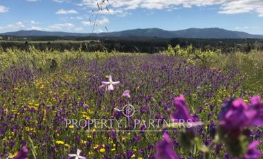 Gran campo productivo