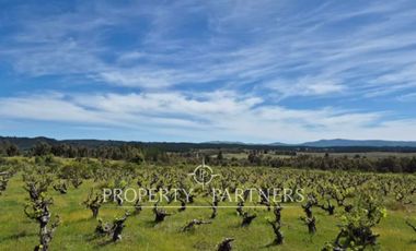 Gran campo productivo