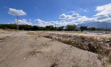 Los Palo Blanco Montemorelos